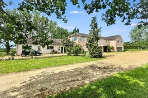 alternative front shot .jpg