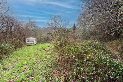 IMG 3155 T202602191404.jpg