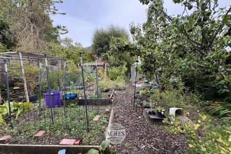 IMG_4960 (Large).jpg