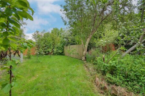 Shed/Greenhouse/Vegetable Garden Area