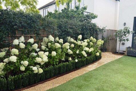 Hydrangea Bed