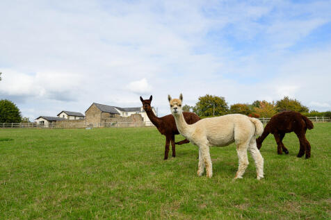 Edge Hill Farm-57
