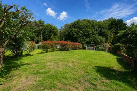 back garden lawn.png