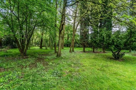 Lodgefield-46.jpg