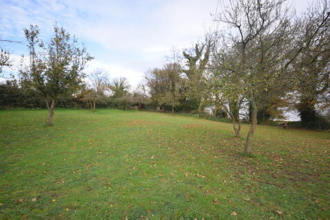 ORCHARD