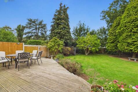 CAM03830G0-PR0223...