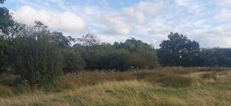 Lot 1 Northern Field Near River