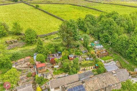 Gardens / Views