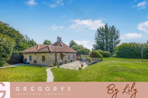 By Lily Lead Photo TWO.jpg