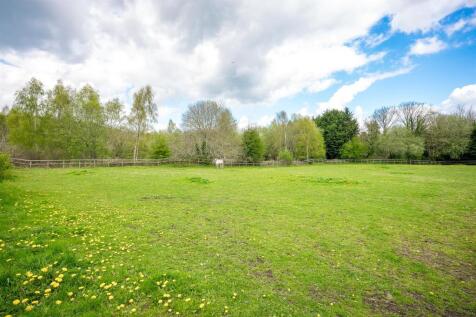 Field
