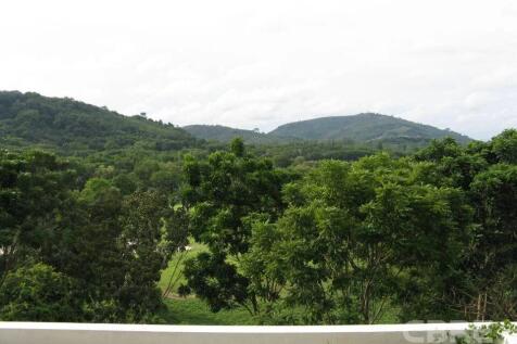 View from terrace