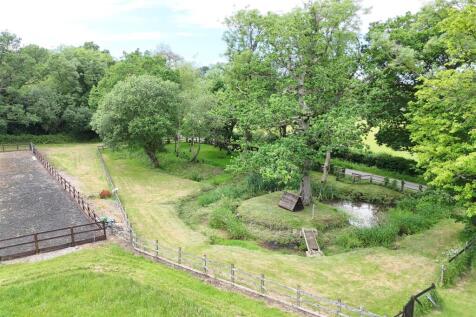 Pond