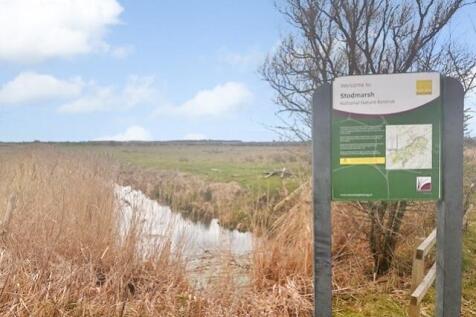 Nature reserve-60993200