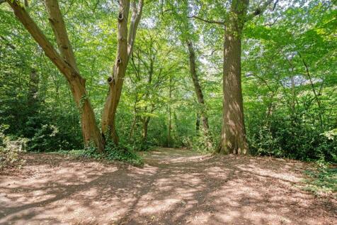 Property Image 40