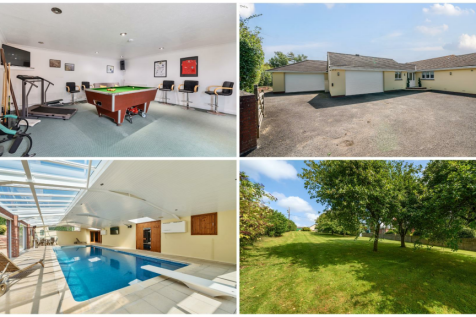 Collage for back page.png