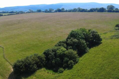 DJI_0363.JPG