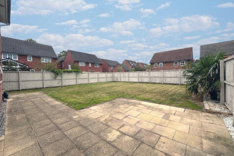 snapedit_17565593...