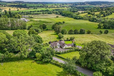 DJI_20260616115331_0104_D.jpg
