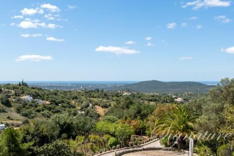 Terrac¿o 1.2 (Large)