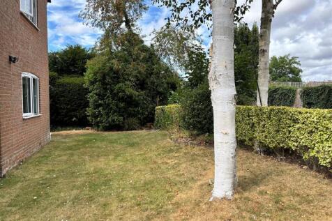 Garden.jpg