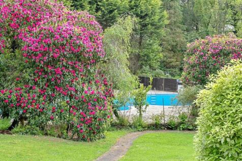 Property Image 11