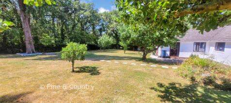 Rear Garden*