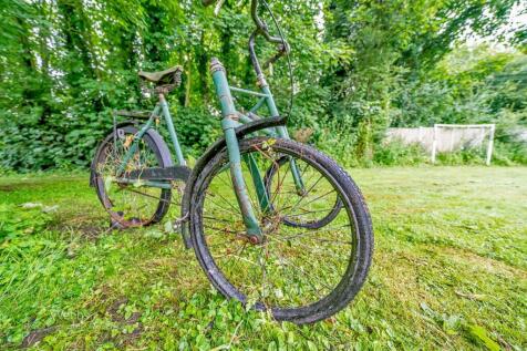 Webbs (77 of 105).jpg