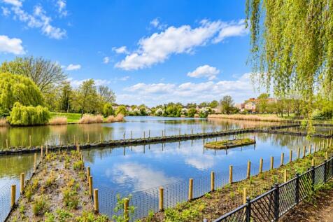Tranquil Suburban...