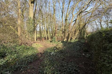 GROUNDS