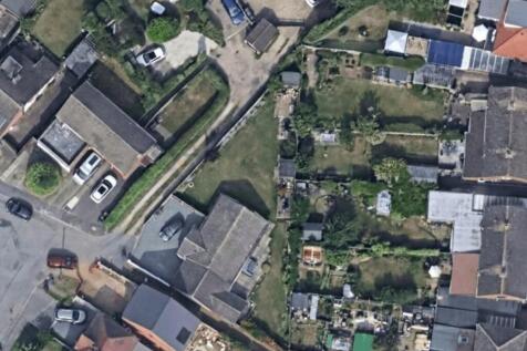 Birds Eye