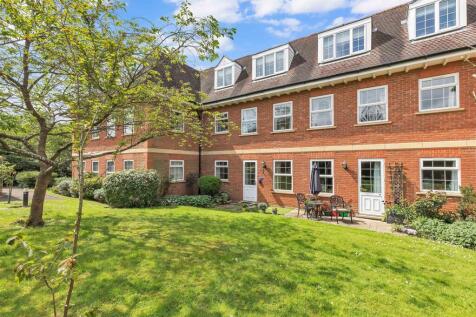 back of property .jpg