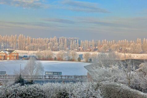 Winter Views