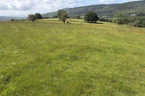 Not Specified