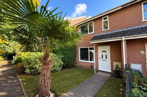 External