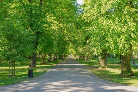 Alexandra Park (2).jpg