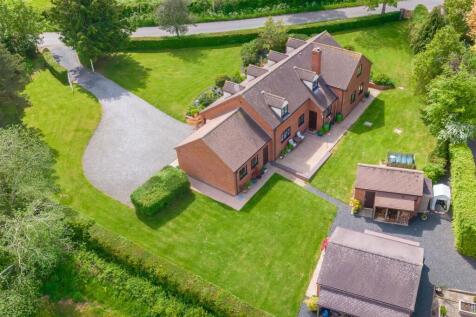 DJI_0239.jpg
