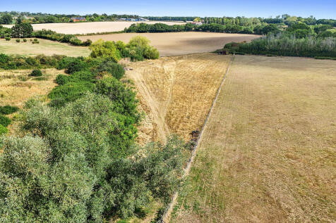 OL-FC(COL)-Plains...