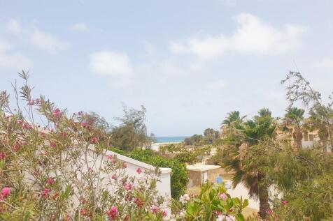 Terrace View