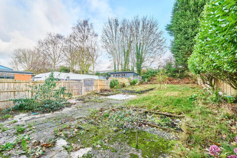 P1617009 T202511191611.jpg