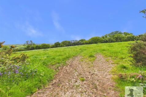 field