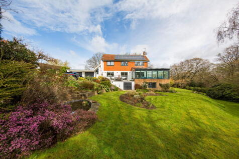 Property Image 54
