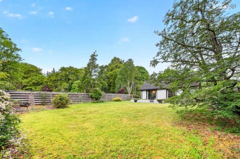 Matured private rear garden.jpg