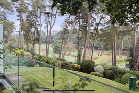 View recent photos 2.png