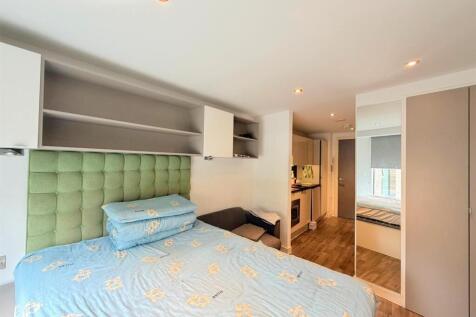Open plan living / kitchen / bedroom