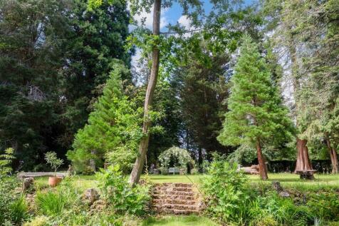 Communal Garden