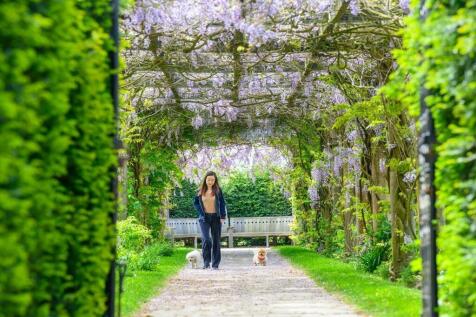 Wisteria Walk