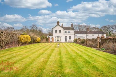 20250321-20250321-DSC07221-Edit-Edit (2).jpg