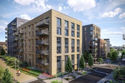 gadwall-external-cgi-med72221200230919