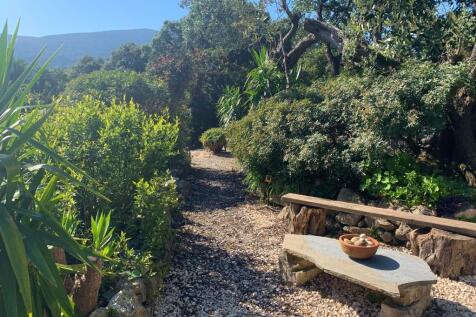 Garden with pathways