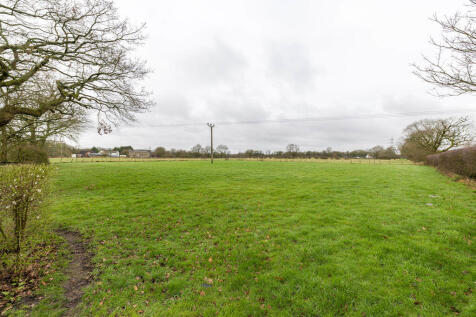 Land to rent